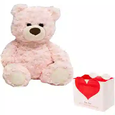 MINISO 26cm50cm