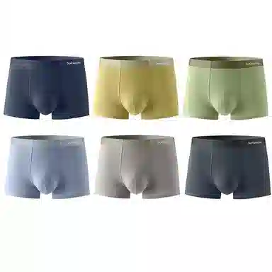 MIIOW 6