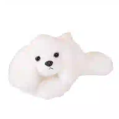 30cm