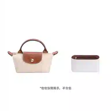 mini Longchamp