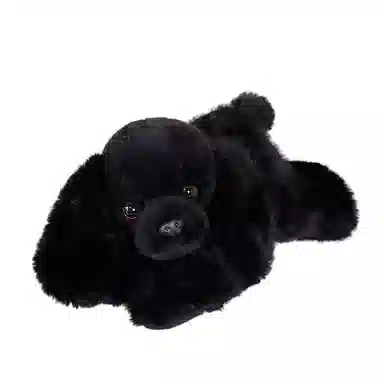 30cm