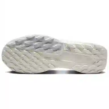 Nike Pegasus Trail 5 Beige