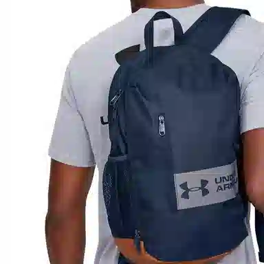 Under Armour Roland Navy Backpack