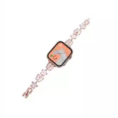 MSSM Apple Watch ESS98765