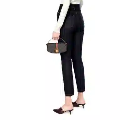 CELINE Triomphe Canvas Mini Bag