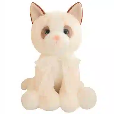 25cm33cm