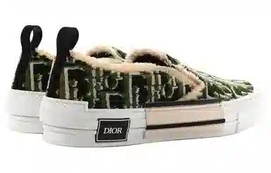 DIOR B23OBLIQUE