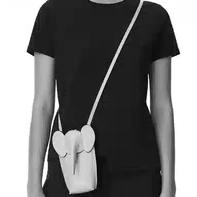 Loewe Elephant Pocket Bag
