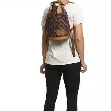 The North Face Backpack Brown