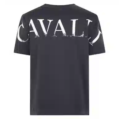 Cavalli Class T