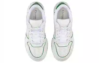 DIOR One Oblique