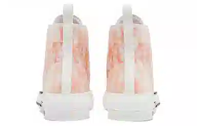 DIOR B23