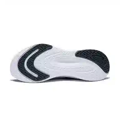 Anta