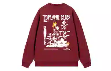 Topland Logo