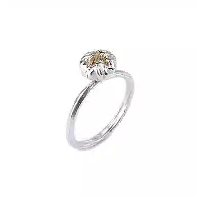 ROGA ins 925