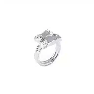 ROGA ins 925