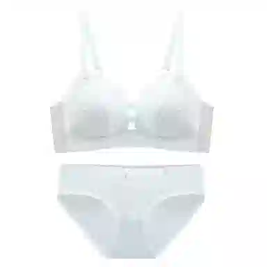 浪莎 薄款透气胸聚拢收副乳防下垂无钢圈蕾丝文胸