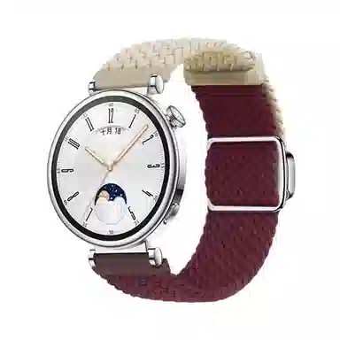 watchbondGT4 gt3gt2pro4pro 182022mm