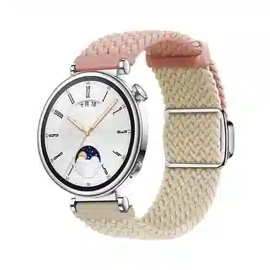 watchbondGT4 gt3gt2pro4pro 182022mm