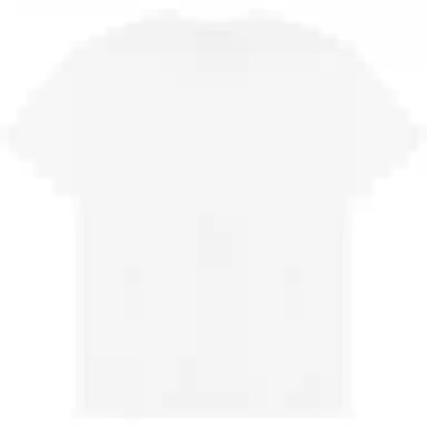 Polo Ralph Lauren FW22 T