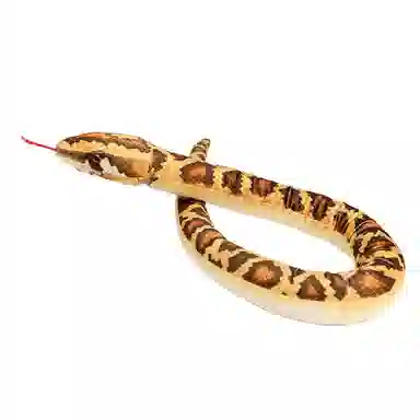 MLING 120cm