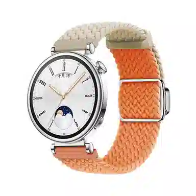 watchbondGT4 gt3gt2pro4pro 182022mm