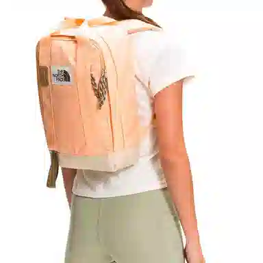THE NORTH FACE TOTE BACKPACK