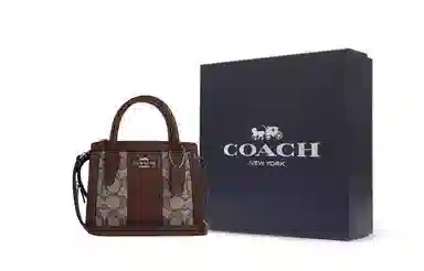 COACH Carryall 15