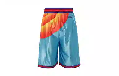 Nike x Space Jam LeBron Tune Squad Shorts