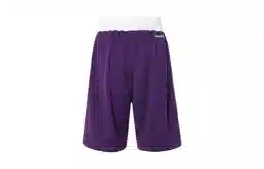 Mitchell & Ness 95 All-Star Shorts