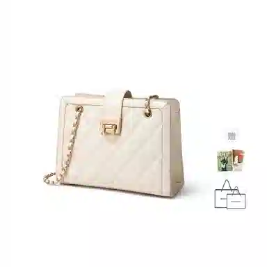 红蜻蜓 轻奢小众设计小香风高级感菱格金属双链条 牛皮 单肩包腋下包斜挎包 常规 女款 黑色