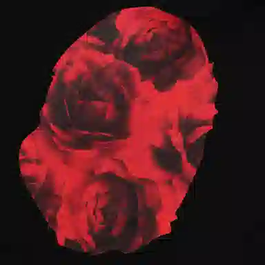 A BATHING APE FW24 Floral Camo Ape Head Hoodie