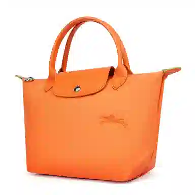 Longchamp Le Pliage Green Orange