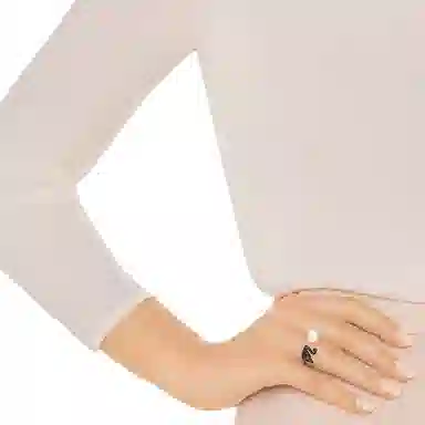 Swarovski ICONIC SWAN