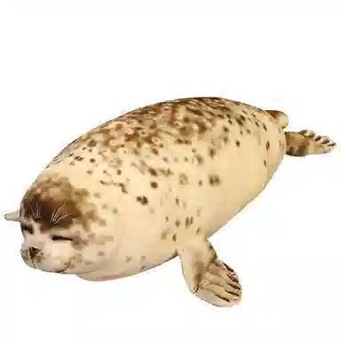 35cm50cm85cm120cm
