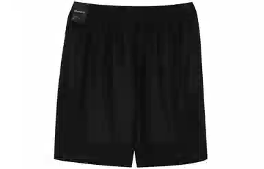 Air Jordan Game Shorts