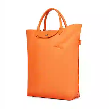 Longchamp Le Pliage