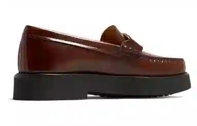 TOD'S Timeless 2.5cm