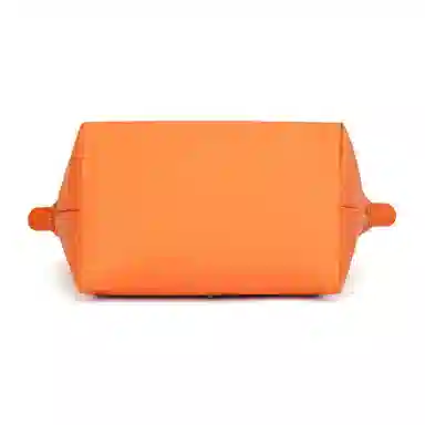 Longchamp Le Pliage Green Orange