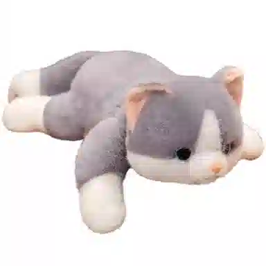 30cm45cm65cm