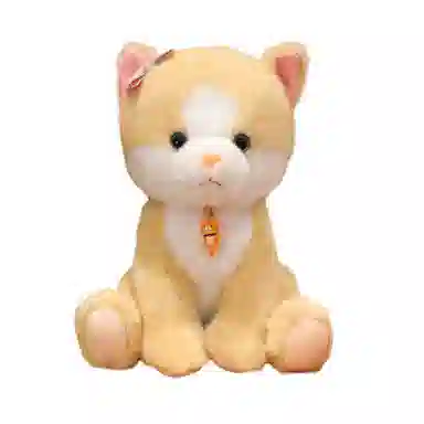23cm25cm
