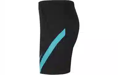 Nike Training Shorts Logo