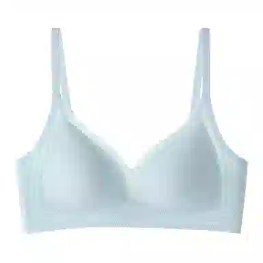 黛尔佳人 无痕内衣小胸聚拢防下垂文胸 女款