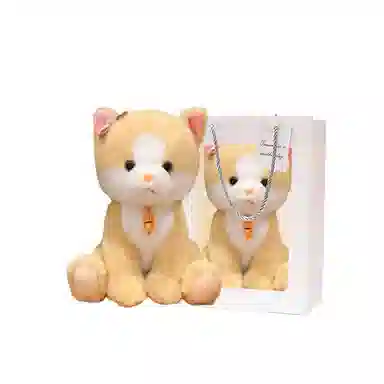 23cm25cm