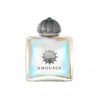 Amouage Portrayal Woman EDP
