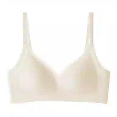 黛尔佳人 无痕内衣小胸聚拢防下垂文胸 女款