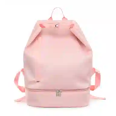 醇龙 运动健身游泳干湿分离带鞋仓大容量沙滩防水收纳袋大学生外出 双肩包 尼龙布 女款 多色