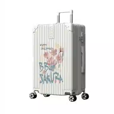 Z 1979 ABS+PC 2024262228