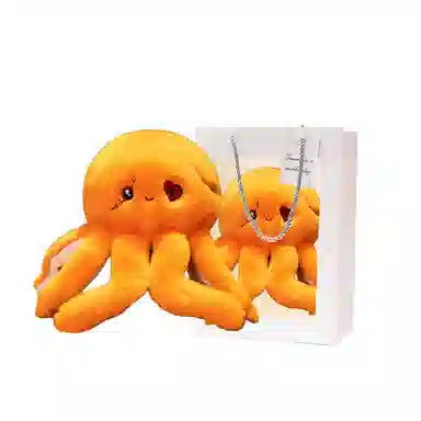 24cm30cm
