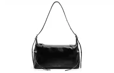 Charles & Keith Baguette Bag